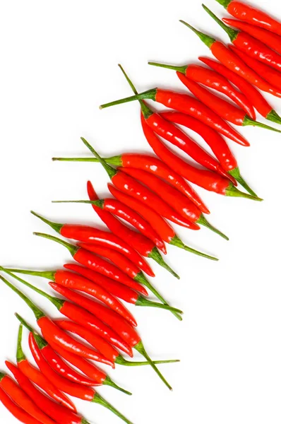 Chiles rojos aislados —  Fotos de Stock