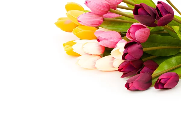 Wiele tulipany na białym tle — Zdjęcie stockowe