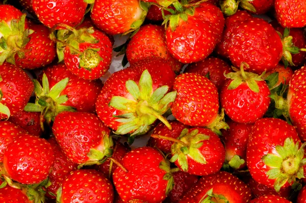 Φράουλες έννοια - κόκκινα φρούτα — Φωτογραφία Αρχείου
