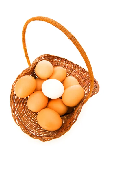 Vyčnívat z davu koncept s vejci — Stock fotografie
