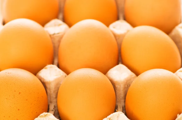 Muitos ovos castanhos na cesta — Fotografia de Stock