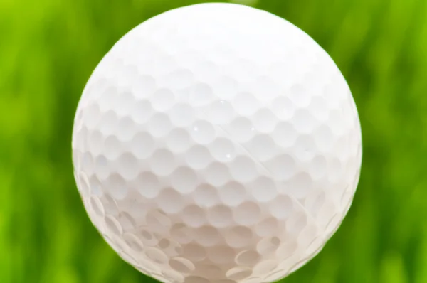 Golf piłka na zielonej trawie — Zdjęcie stockowe