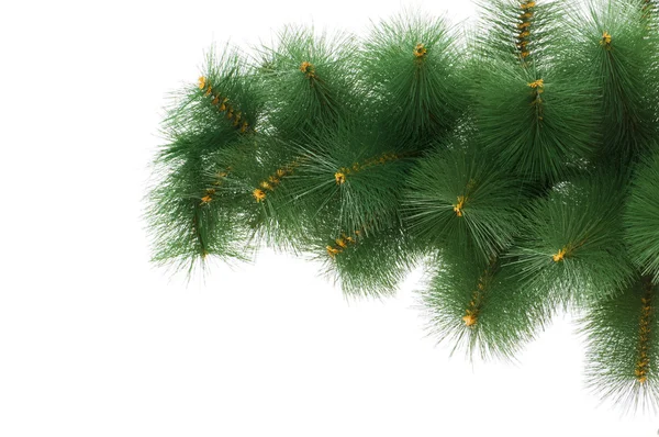Рождественская елка изолирована на белом — стоковое фото