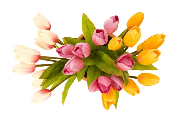 Tulipanes coloridos aislados en el blanco —  Fotos de Stock
