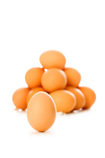 Många ägg på vit — Stockfoto
