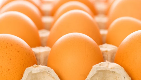 Molte uova marroni nel cestino — Foto Stock