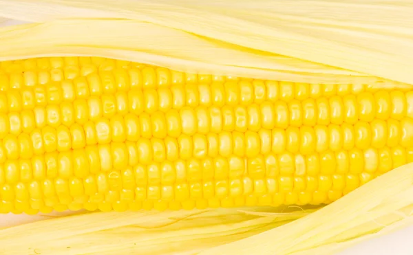 Екстремальна крупним планом кукурудзяні камери — стокове фото