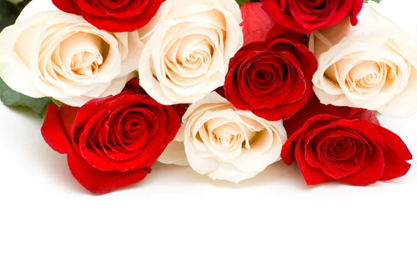 Röda och vita rosorna isolerade — Stockfoto