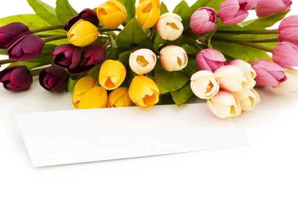 Tulipanes y mensaje en blanco aislados — Foto de Stock