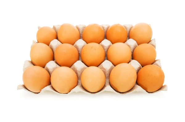 Πολλά αυγά στο πλαίσιο χαρτοκιβώτιο απομονωθεί — Φωτογραφία Αρχείου