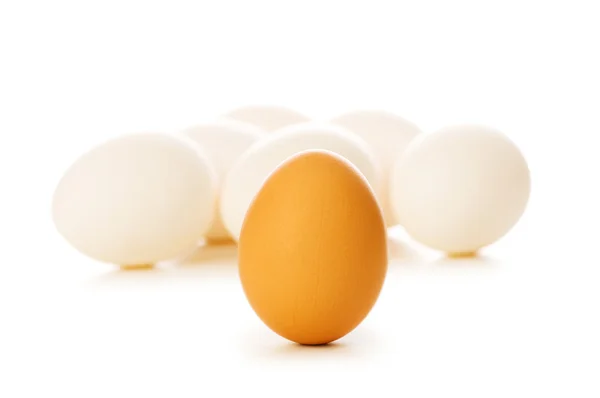 Коричневі яйця на білому — стокове фото