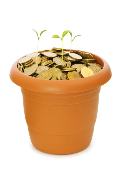 Mudas verdes que crescem a partir das moedas — Fotografia de Stock