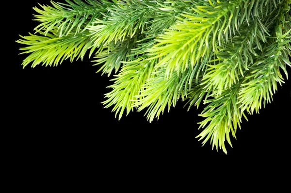 Árvore de Natal isolada no preto — Fotografia de Stock