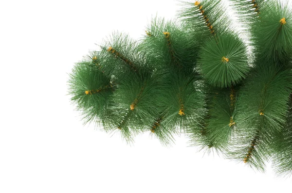 Árbol de Navidad aislado en el blanco — Foto de Stock