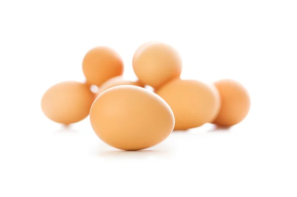 De nombreux œufs sur blanc — Photo