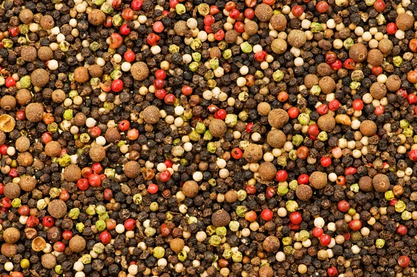 Close up selection of various pepper — Stock Photo, Image