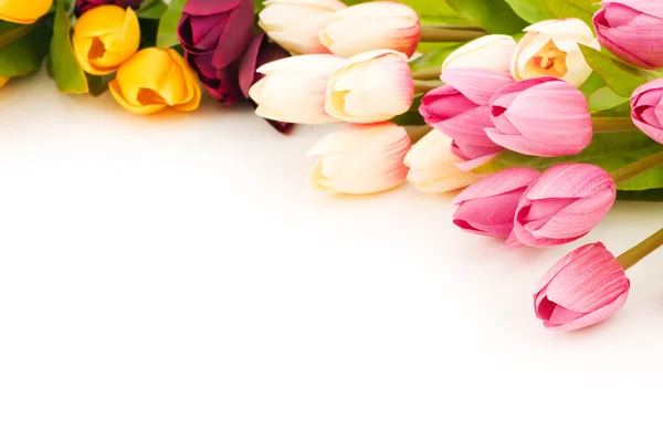 Muitas tulipas isoladas no branco — Fotografia de Stock
