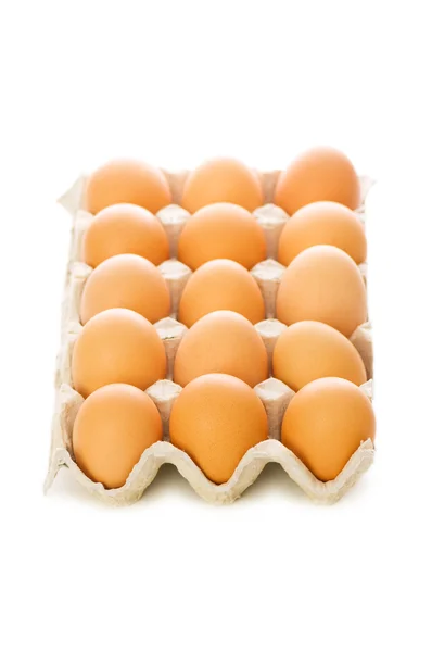 很多鸡蛋被隔绝在白色 — 图库照片