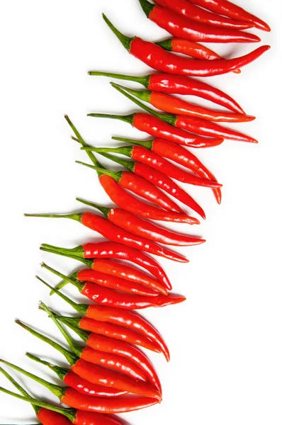 Red chili peppers isolated — Stock Photo, Image