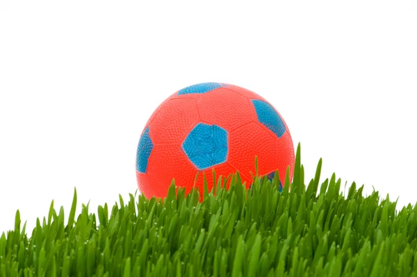 Sportkonzept - Fußball auf dem Rasen — Stockfoto