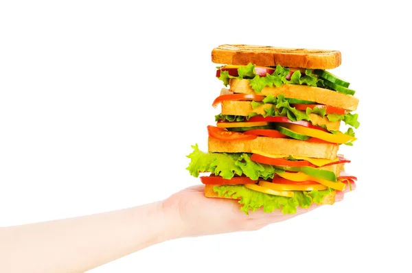 Sandwich mão segurando isolado — Fotografia de Stock
