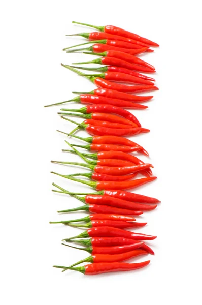 Röd chilipeppar isolerat på vita — Stockfoto