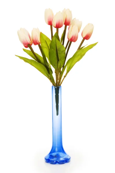 Pot elszigetelt fehér tulipánok — Stock Fotó