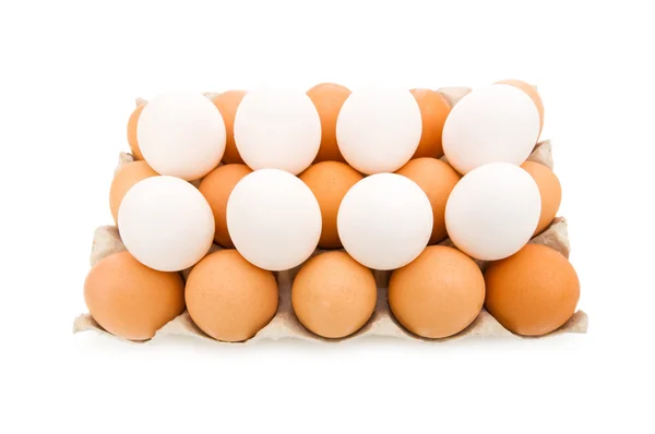 Veel eieren in de verpakking geïsoleerd — Stockfoto