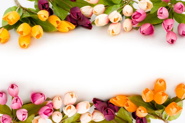 Telaio realizzato con tulipani colorati Foto Stock