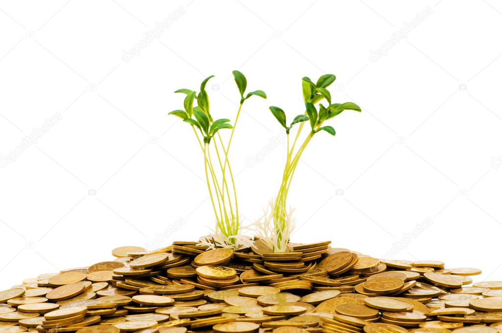 Green seedling growing from the coins