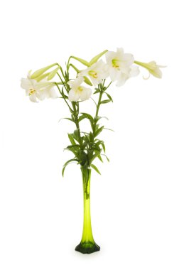 Lilies isolated on the white clipart