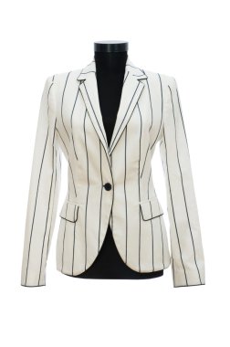 Stylish jacket isolated on the white clipart