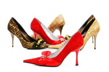 Woman shoes isolated on the white clipart