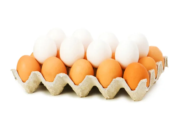 Massor av ägg i kartong isolerade — Stockfoto