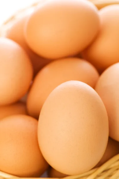Много коричневых яиц в корзине — стоковое фото