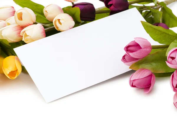 Tulipany i pustą wiadomość na białym tle — Zdjęcie stockowe