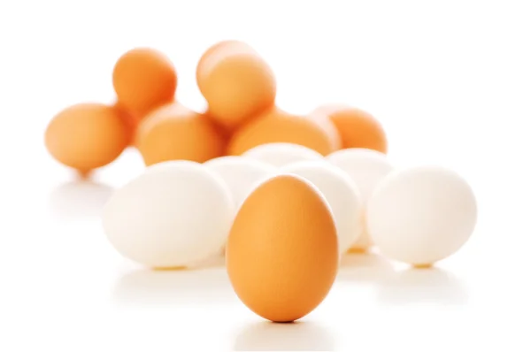 Багато яєць на білому — стокове фото