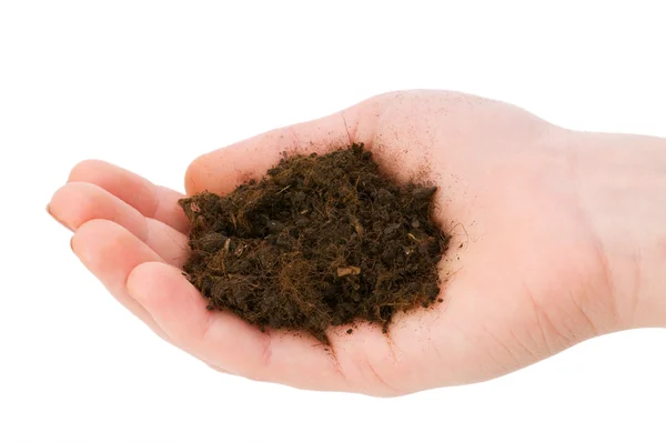 Hand holding handful of soil isolated — Stock Photo, Image