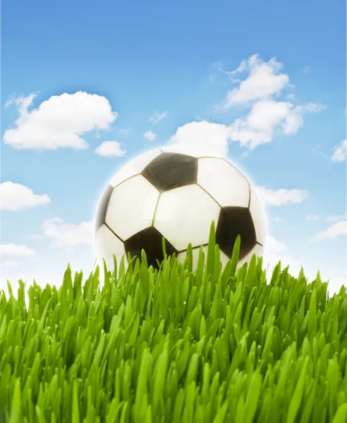Έννοια του αθλητισμού - ποδόσφαιρο στο γρασίδι — Φωτογραφία Αρχείου