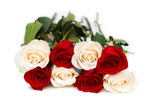 Червоні та білі троянди ізольовані — стокове фото