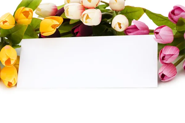 Tulipanes y mensaje en blanco aislados —  Fotos de Stock