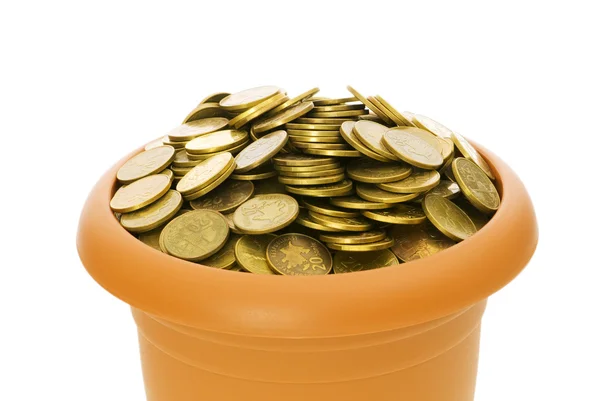 Muchas monedas en la olla de arcilla en blanco — Foto de Stock