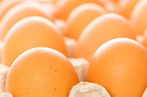 Mange brune egg i kurven – stockfoto