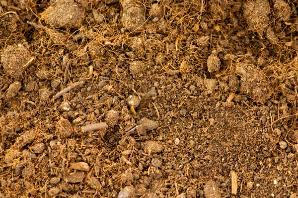 Close up of soil as a background — Stock Photo, Image