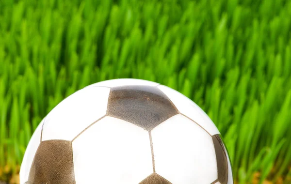 Sport koncept - fotboll på gräset — Stockfoto
