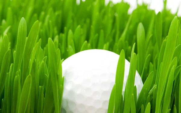 Piłeczki do golfa i trawy na białym tle — Zdjęcie stockowe