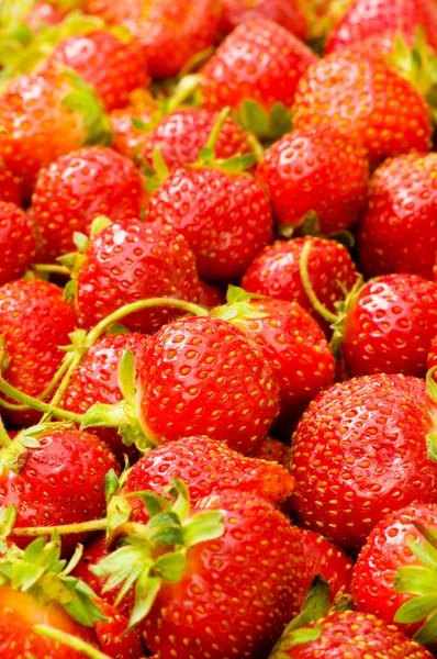 Beaucoup de fraises disposées — Photo
