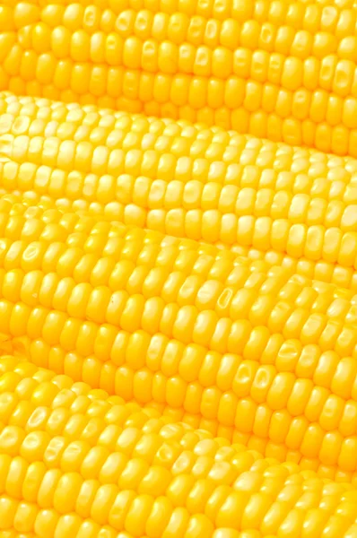Extremo close-up de espigas de milho amarelo — Fotografia de Stock