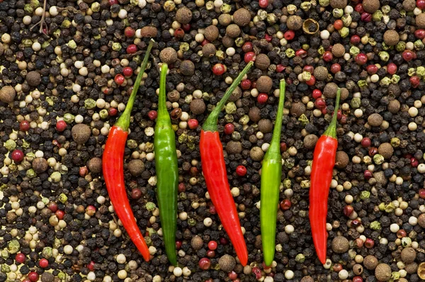 Red and green peppers on pepper — Stock Photo, Image