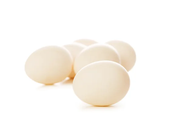 Eieren op wit — Stockfoto
